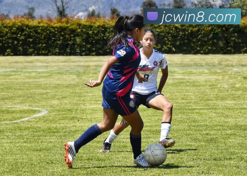 竞彩网官网服务体系